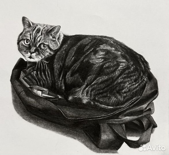 Портрет питомца на заказ