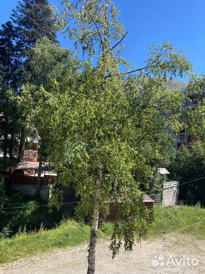 Подберу жилье в Домбае