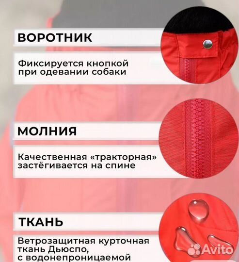 Дождевик для средней собаки