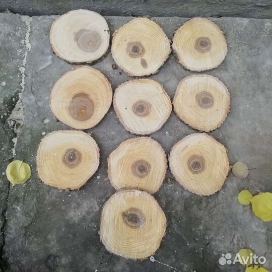 Торцевые спилы дерева