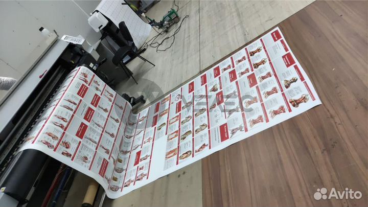 Картина печать на холсте