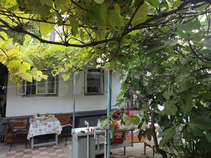 Комната 24 м² в 4-к., 1/1 эт.