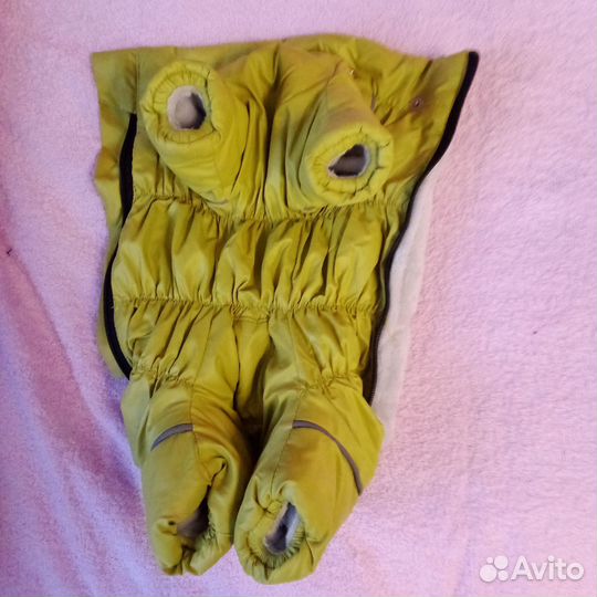 Одежда для собак мелких пород