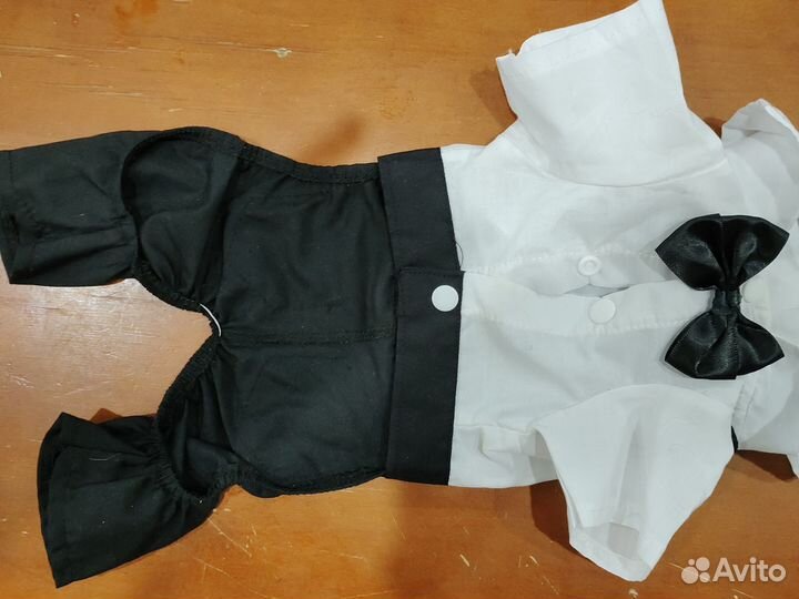 Одежда для маленьких пород собак