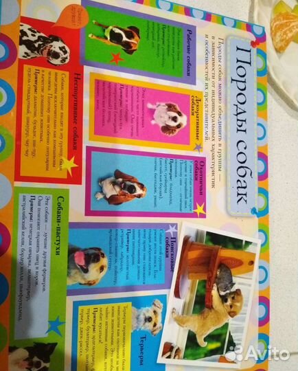 Книга - Пазлы