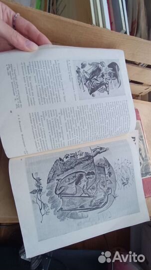 Журнал Композиция