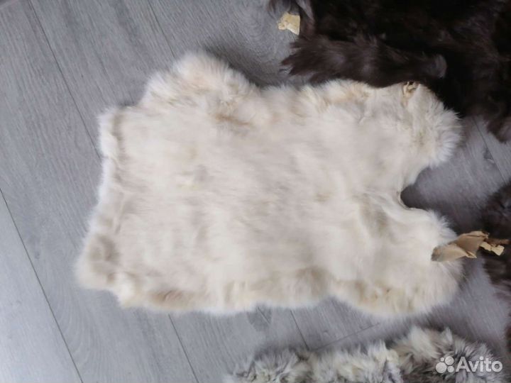 Шкура кролика