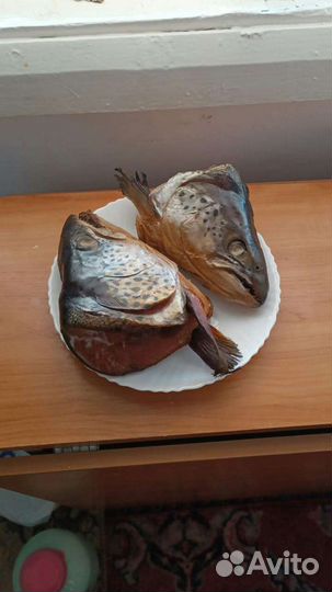 Рыба гор.копчения