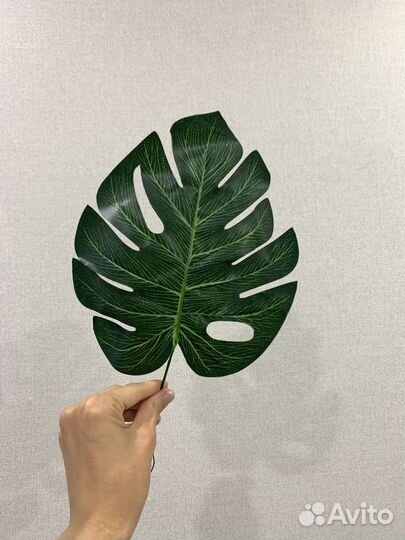 Шефлера искусственные листья