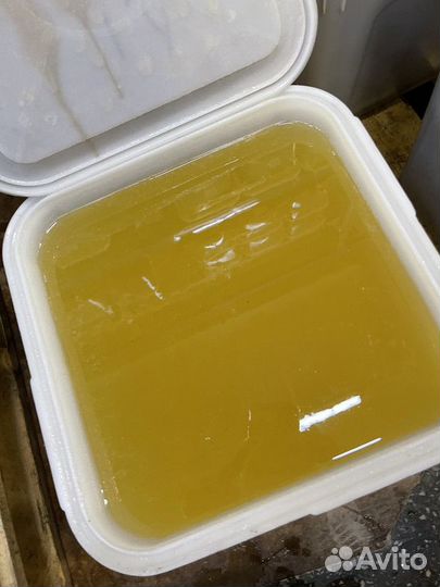 Донниковый свежий натуральный мёд Качка 2023г Опто