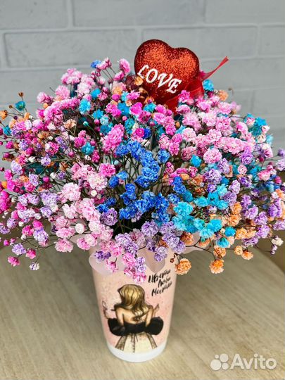 Радужная гипсофила в стаканчике