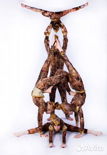 Школа цирковой акробатики