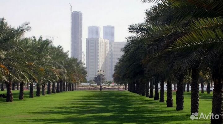 Вояж в г. Шарджу 7 дн