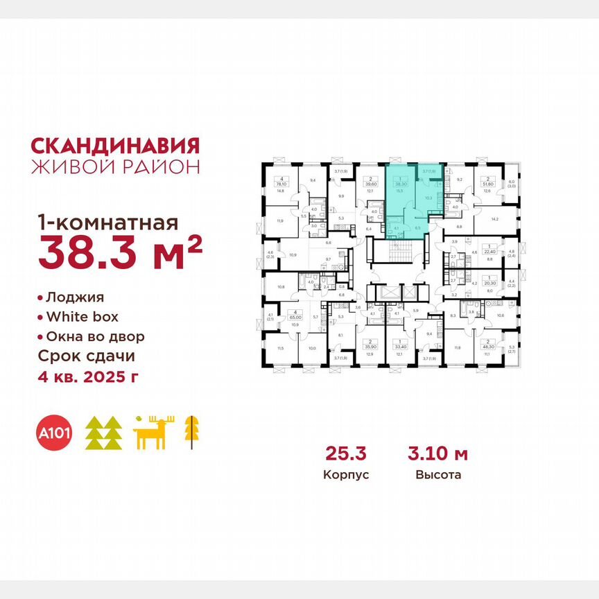 1-к. квартира, 38,3 м², 13/17 эт.