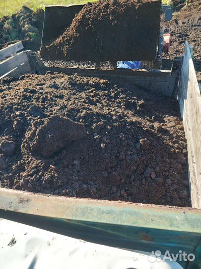 Навоз перегной с доставкой