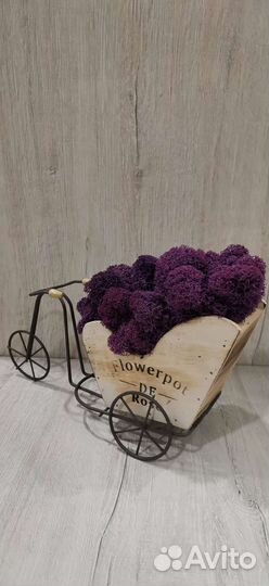 Кашпо со стабилизированным мхом, сирень