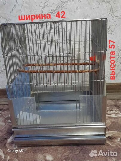 Клетка для попугая, жила корелла