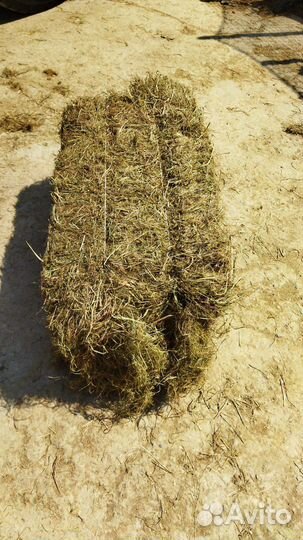 Сено