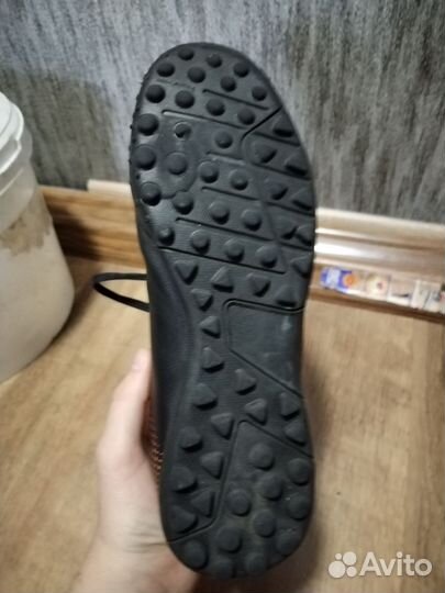 Сороконожки