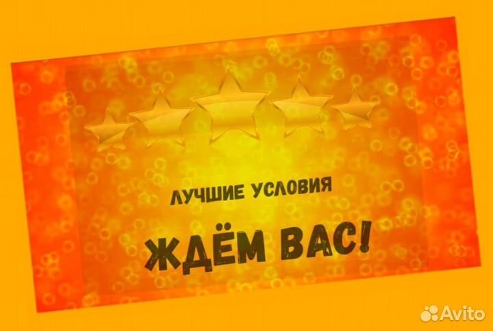 Кладовщик без опыта Еженедельные выплаты Одежда