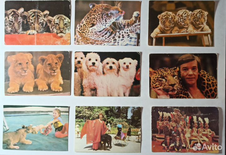 Календарики СССР (цирк)