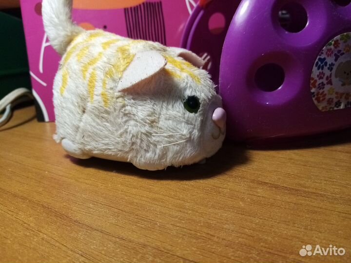 Pets Интерактивный котик в переноски