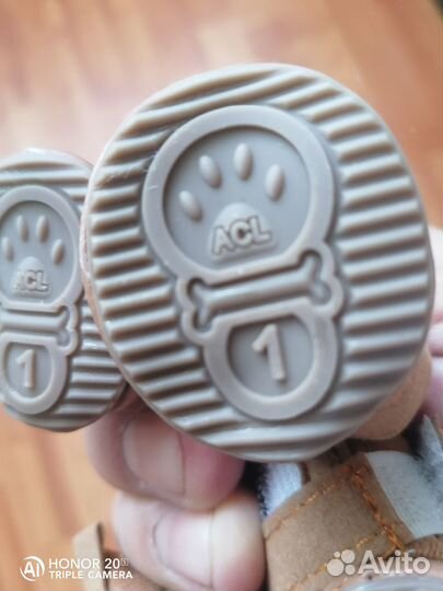 Зимняя обувь для собак