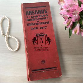 Дневник бухгалтера, 1927 год. Старинные книги