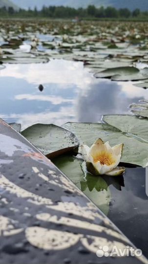 Аренда прокат сапбордов