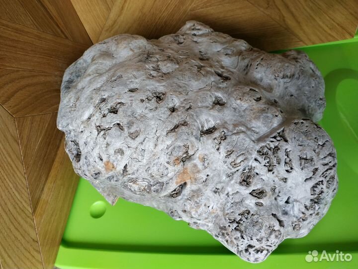 Кап заготовка для чаши