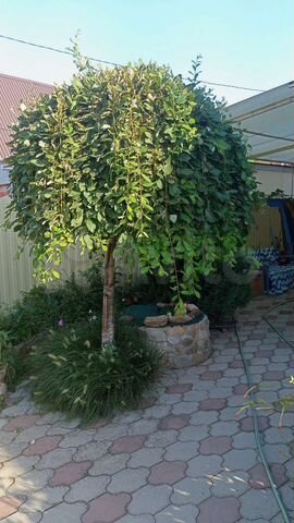 Комната 15 м², 1/1 эт.