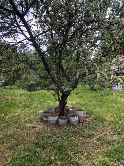 Дача 31,3 м² на участке 7 сот.