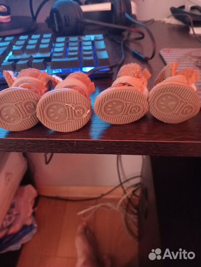 Ботиночки для собак мелких пород