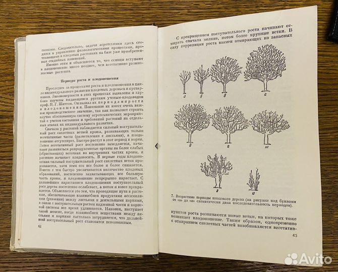 Г.Г. Фетисов Основы плодоводства 1959г