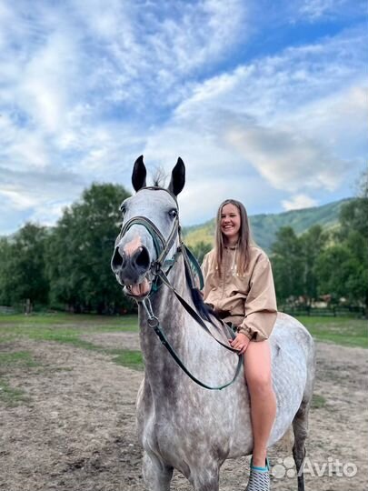 Менеджер по туризму (Администратор)