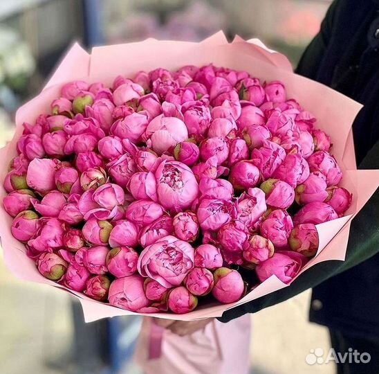 Пионы Букеты Цветы Доставка