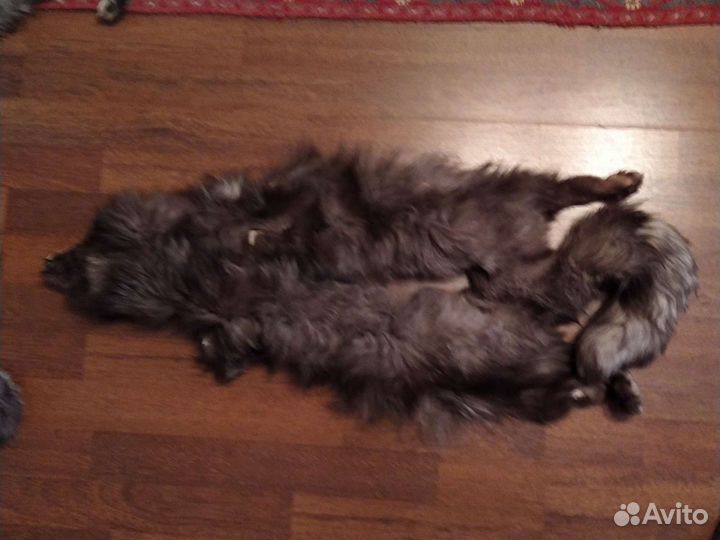 Шкурка песца, чернобурки,кусочки для реставрации