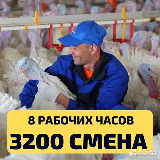 Выезд из Самары, вахта Пенза рабочий вакцинатор