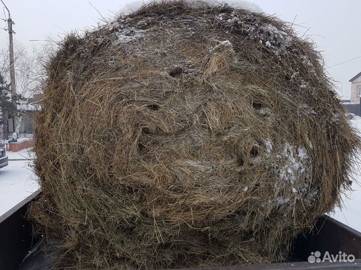 Сено в тюках