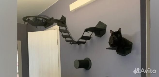 Игровой настенный комплекс для кошек