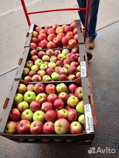 Продажа яблок