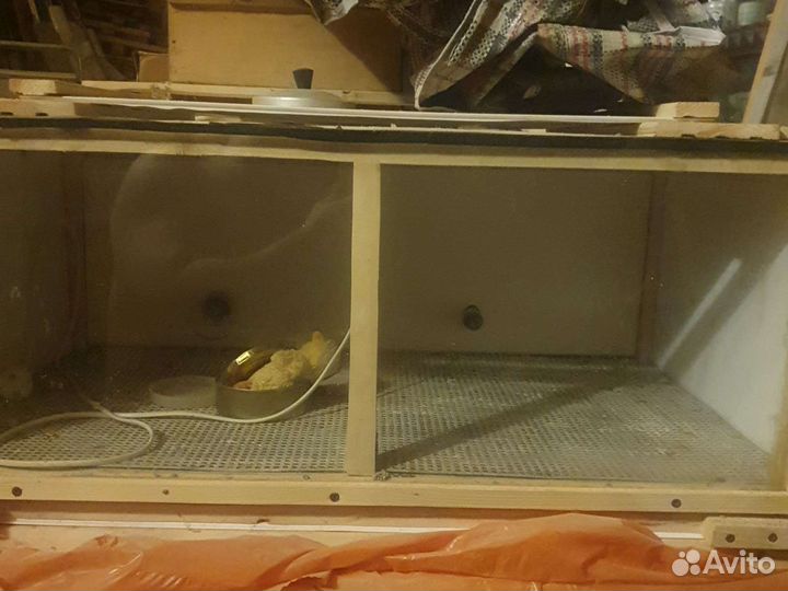 Инкубатор + брудер