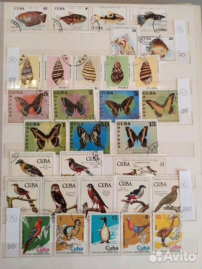 Почтовые марки Куба флора и фауна