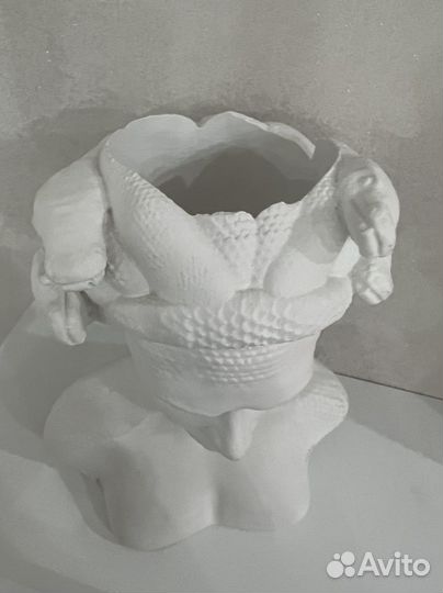 Статутка «Медуза»