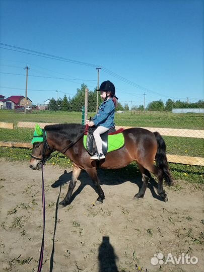 Продам пони