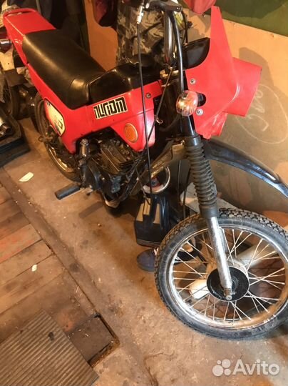 Зид пилот 50