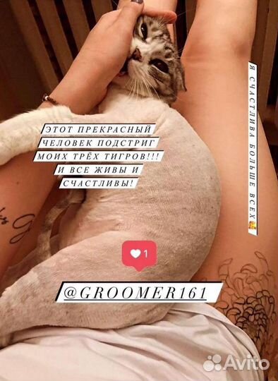 Стрижка кошек и котов