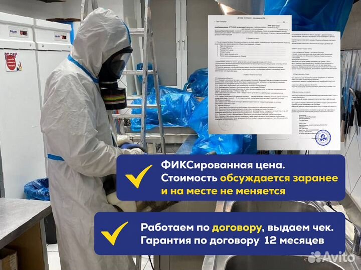 Уничтожение клопов, травить тараканов, дезинсекция