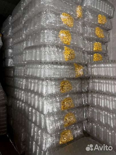 Пэт Бутылка 0,33л Бутылка под молоко