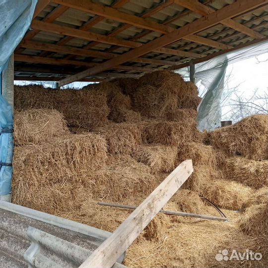 Сено солома в тюках